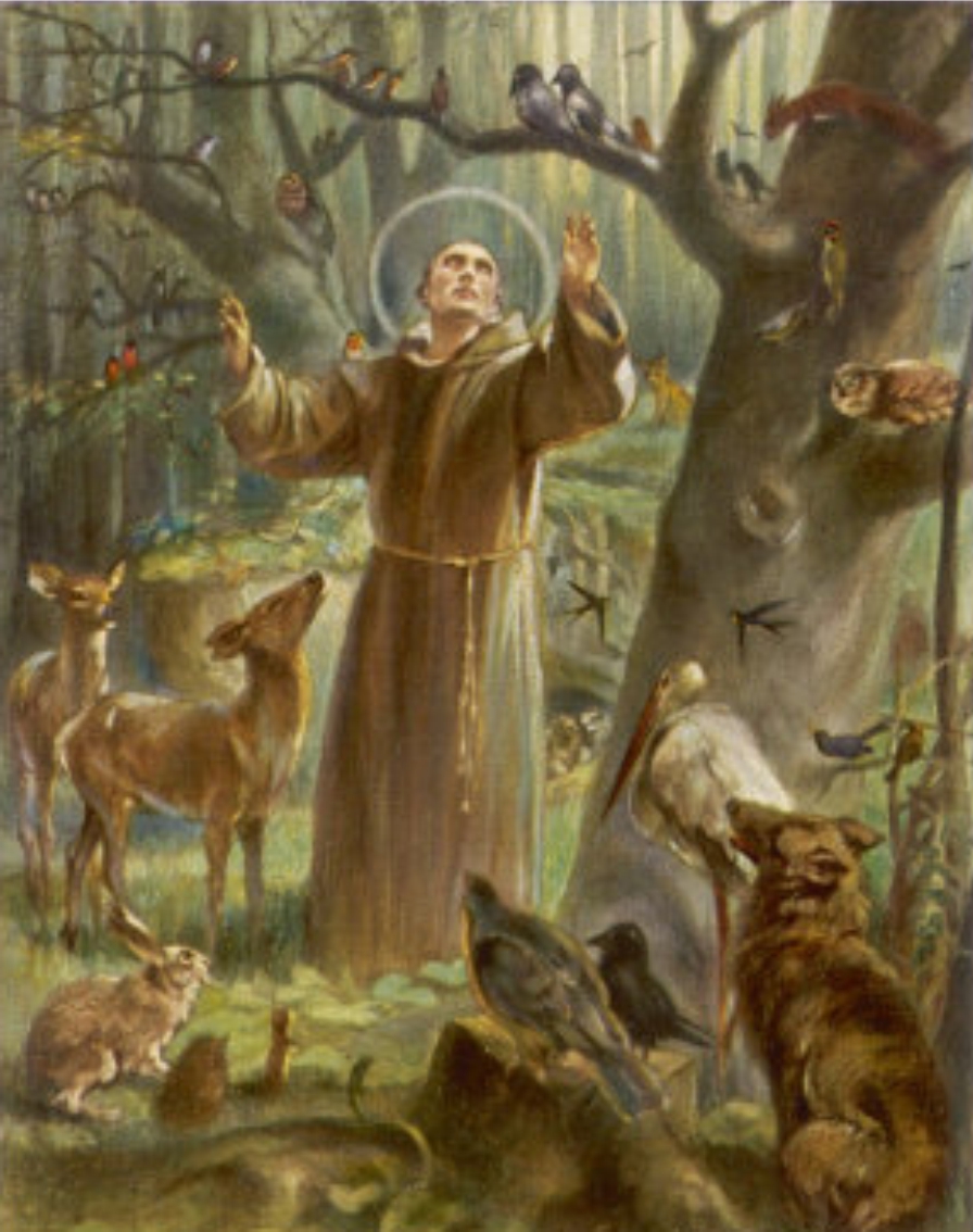 https://st-josephstatue.com/wp-content/uploads/2016/06/A-picture-of-Saint-Francis-with-animals-surrounding-him-3.jpg